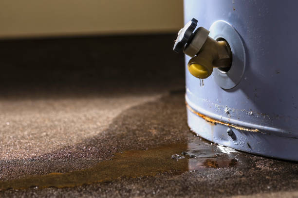 Best Sewage cleanup and water damage restoration  in Burkburnett, TX