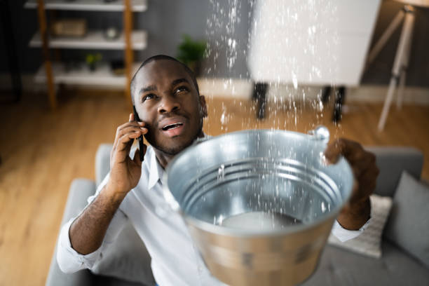 Best Water damage restoration specialists  in Burkburnett, TX