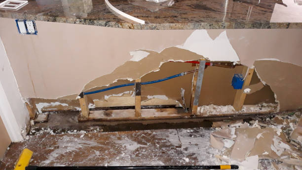 Best Water damage restoration near me  in Burkburnett, TX