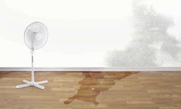 Burkburnett, TX Water damage restoration Company