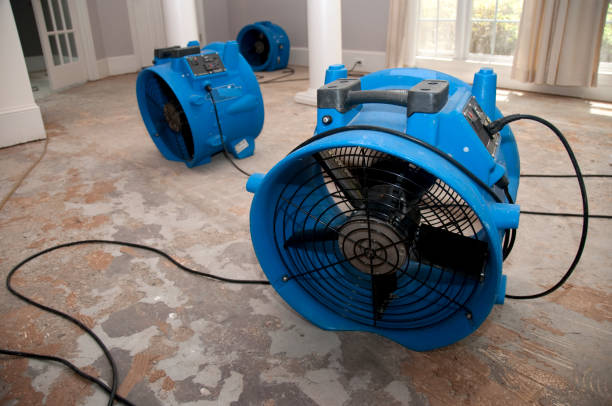 Best Residential water damage restoration  in Burkburnett, TX