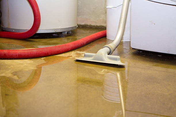 Best Carpet water damage restoration  in Burkburnett, TX