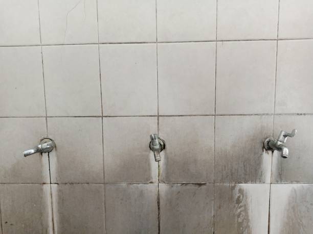 Best Water damage cleanup near me  in Burkburnett, TX