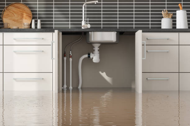 Best Local water damage restoration  in Burkburnett, TX