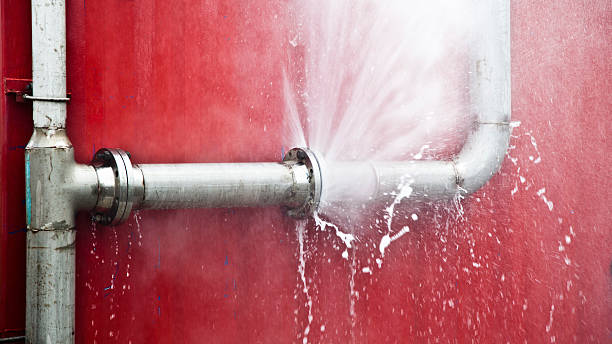 Best Water damage cleanup near me  in Burkburnett, TX