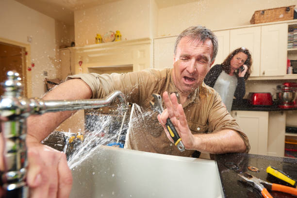 Best Professional water damage repair  in Burkburnett, TX